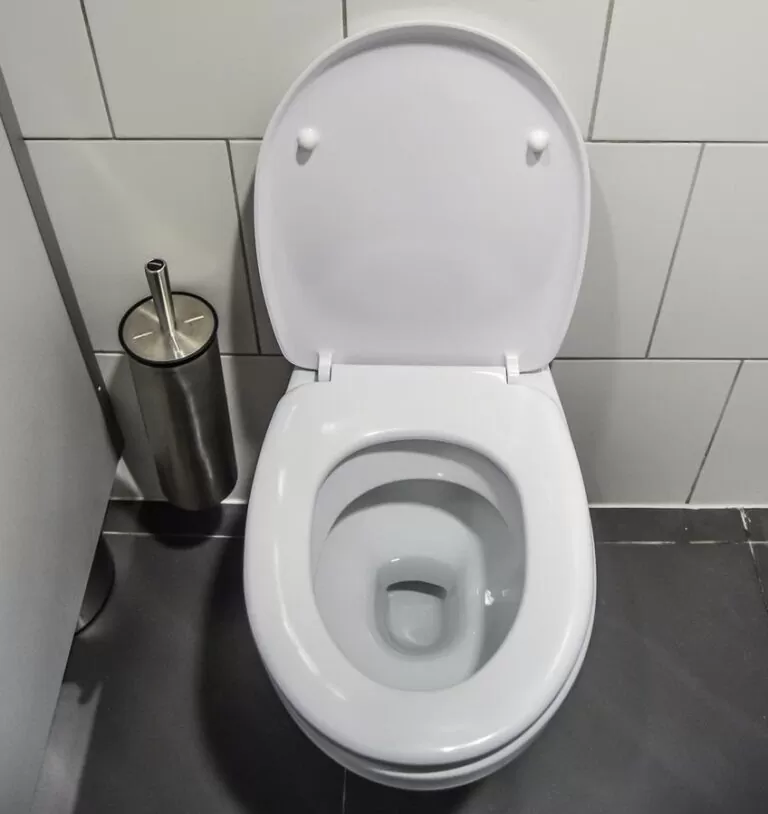Toilettes propres