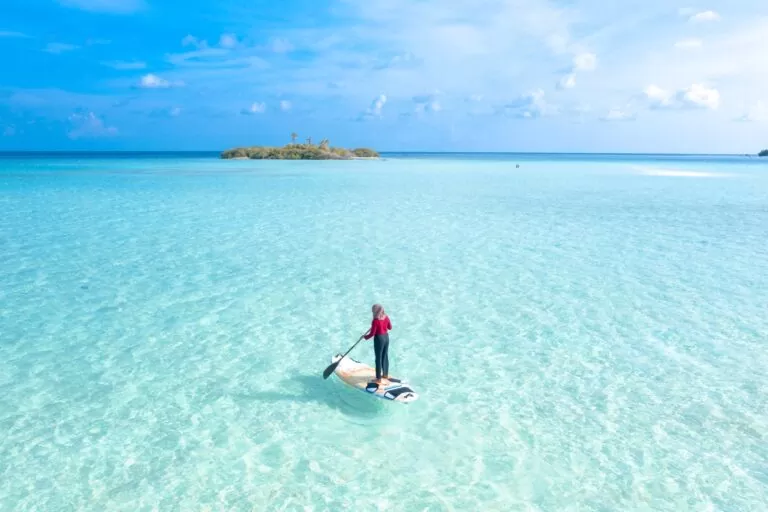 Paddle sur la mer