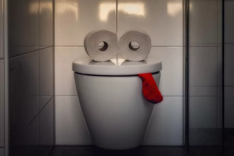 Toilettes WC