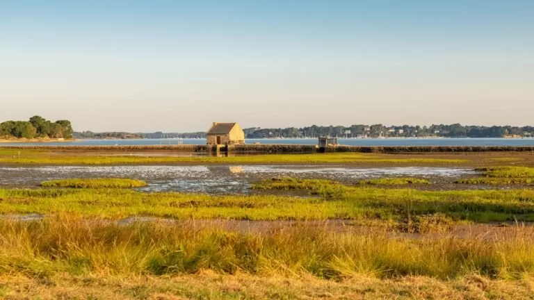 Pourquoi partir en croisière dans le Golfe du Morbihan ?