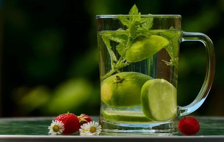 Verre de boisson à l'eau, au citron et à la menthe