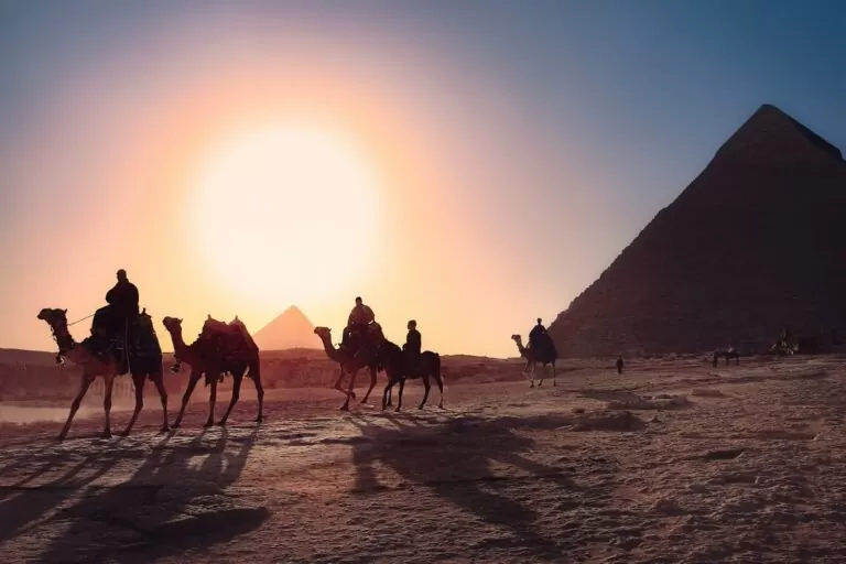 Chameaux devant une pyramide en Egypte