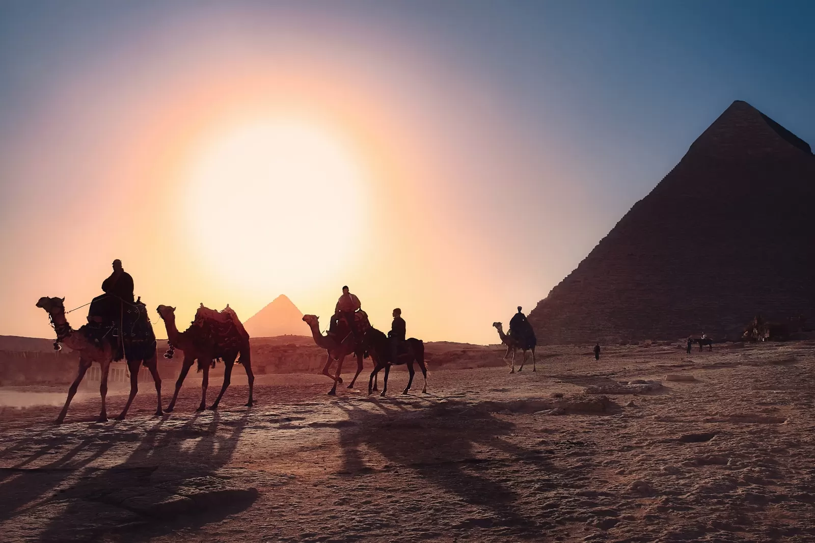 Chameaux devant une pyramide en Egypte