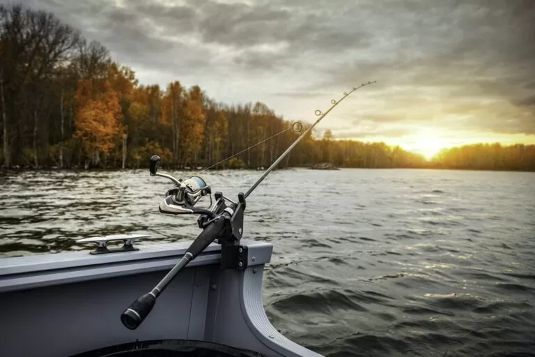 Comment choisir la meilleure canne à pêche téléréglable ?