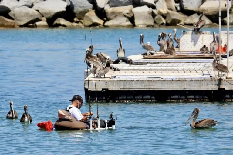 Pêcheur dans un float tube