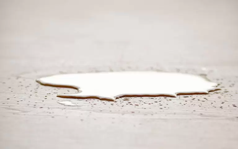 4 signes que vous avez une fuite d’eau