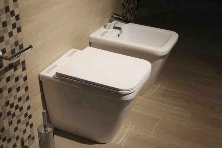 WC et bidet dans des toilettes