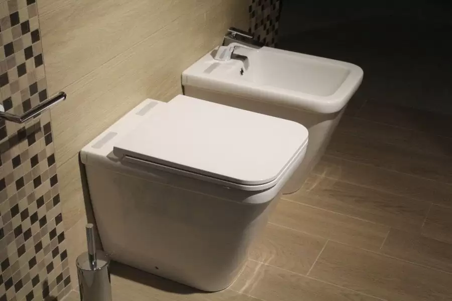 WC et bidet dans des toilettes