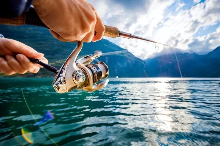Trouver la meilleure canne à pêche en ligne et à moindre prix !